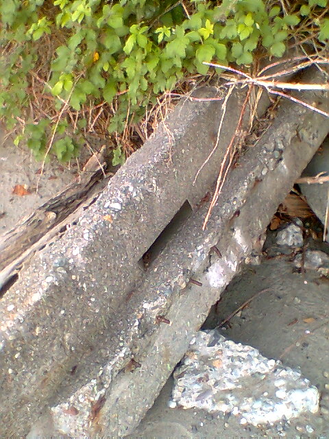 Galloping Gertie remains on the shore